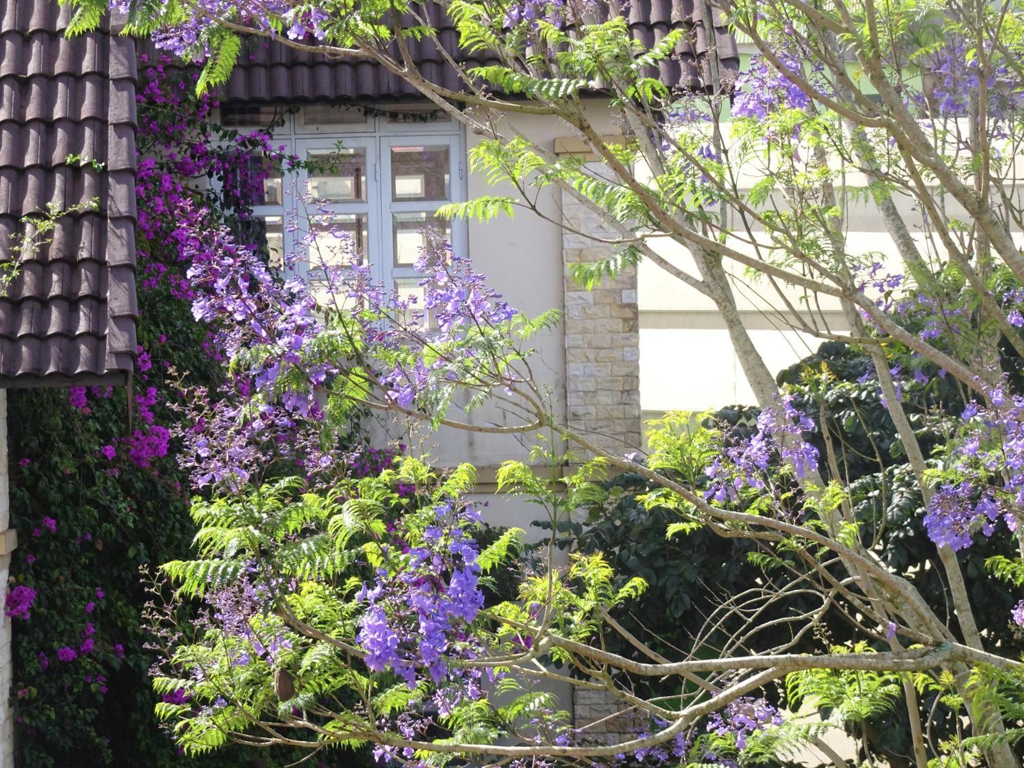 MENTO Villa Đà Lạt Ngoại thất bức ảnh