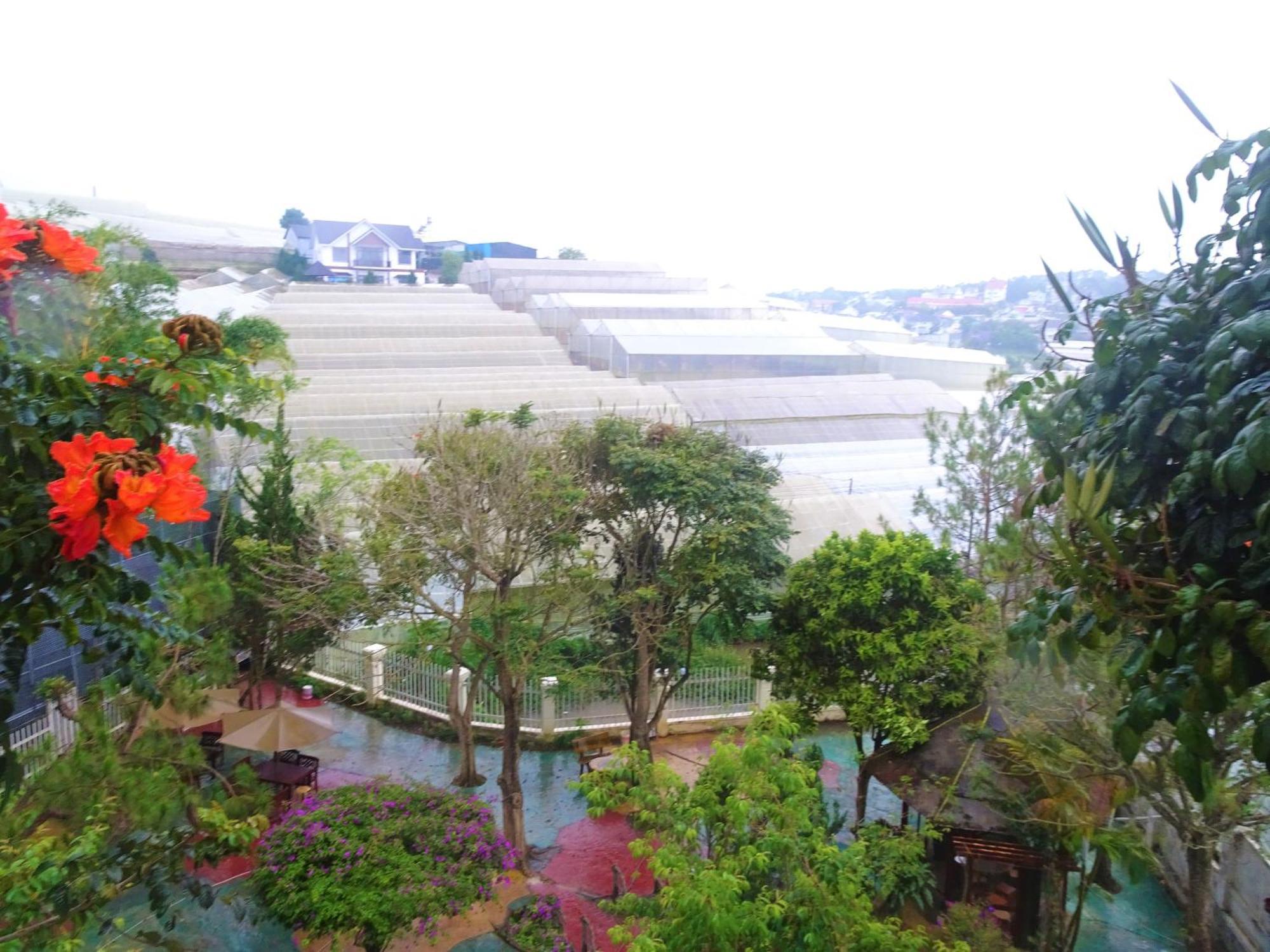 MENTO Villa Đà Lạt Ngoại thất bức ảnh