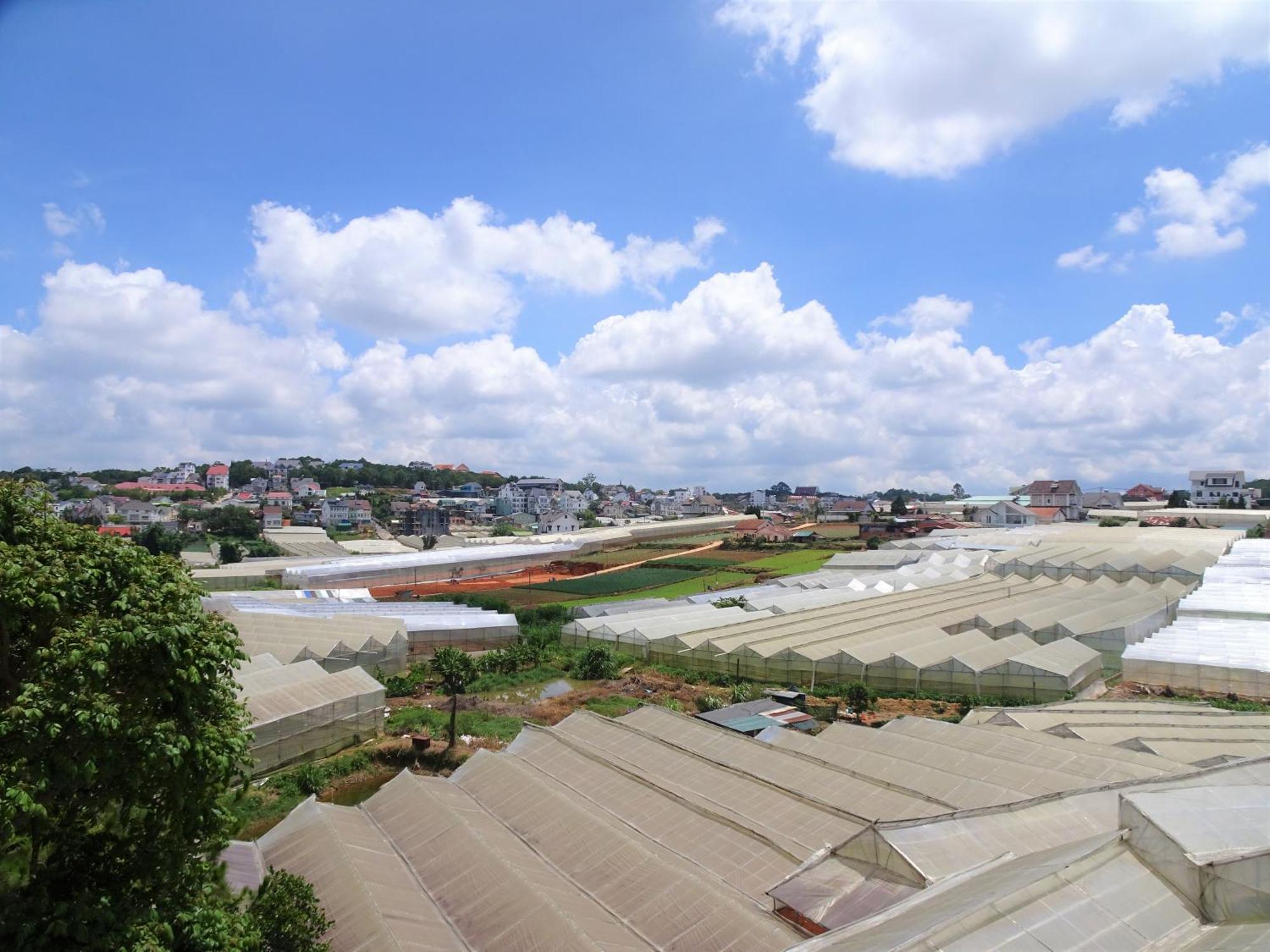 MENTO Villa Đà Lạt Ngoại thất bức ảnh