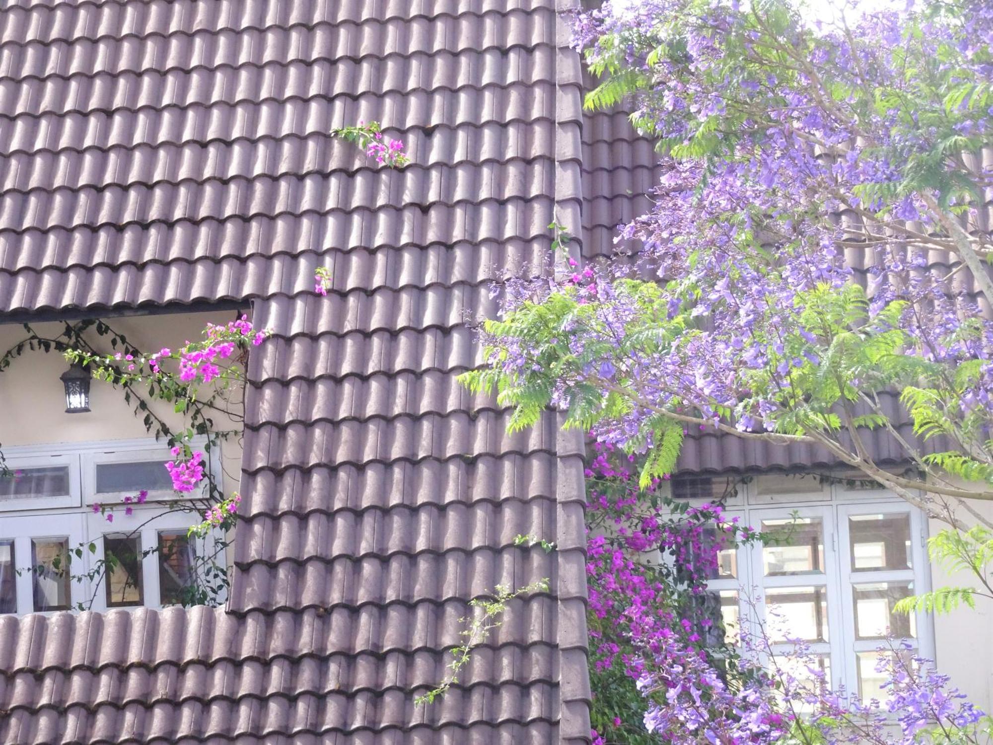 MENTO Villa Đà Lạt Ngoại thất bức ảnh