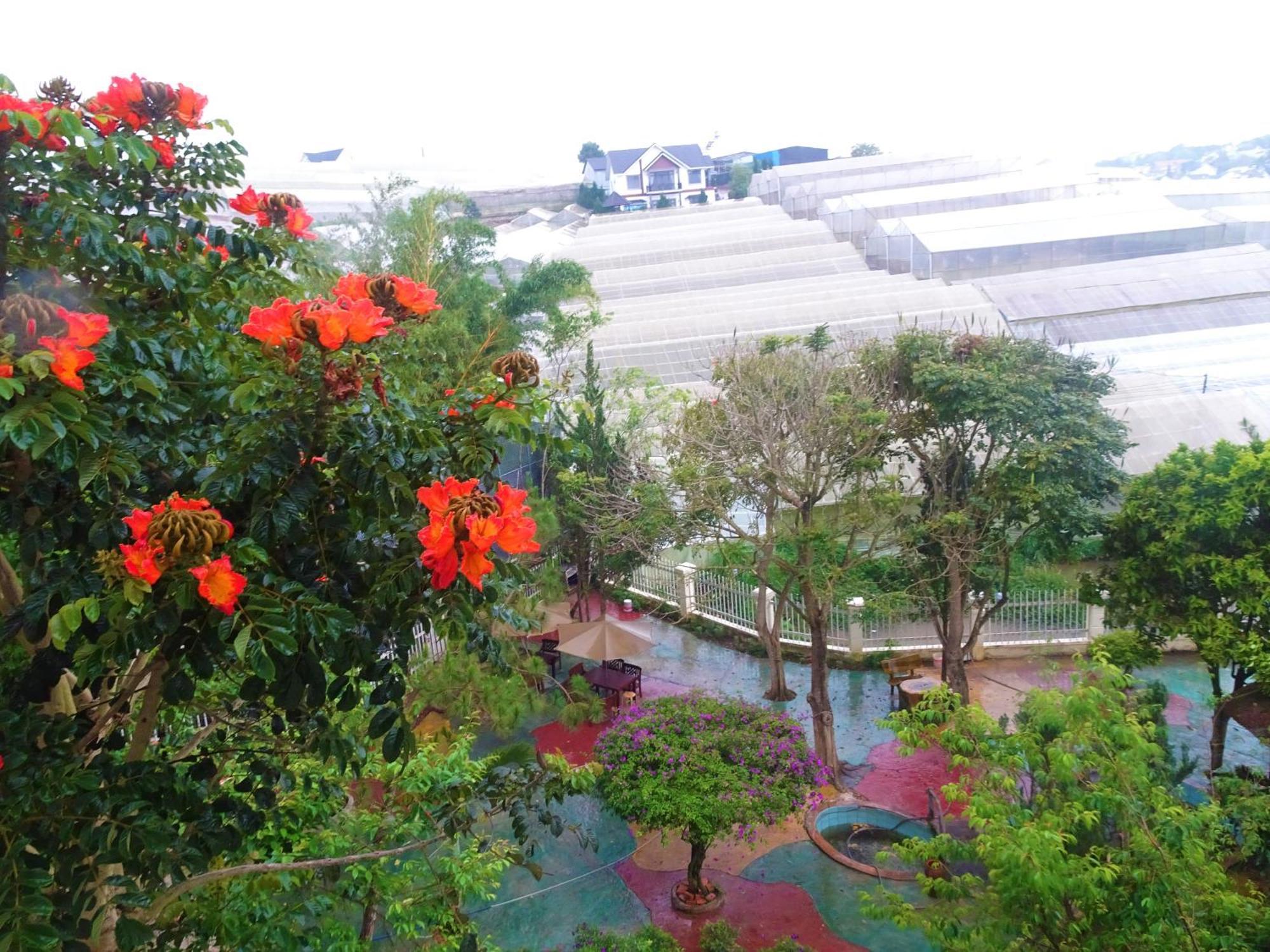 MENTO Villa Đà Lạt Ngoại thất bức ảnh